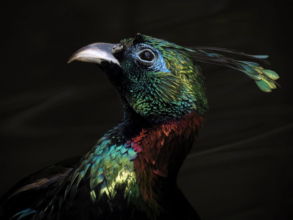 2016tonybritton (5).jpg