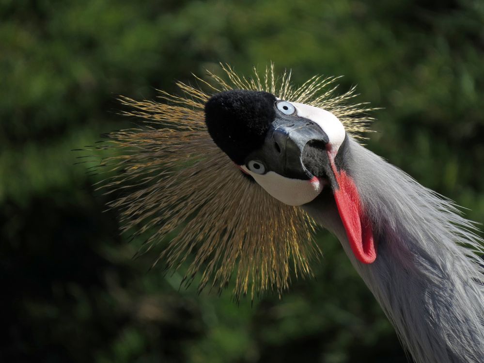 2016tonybritton (6).jpg