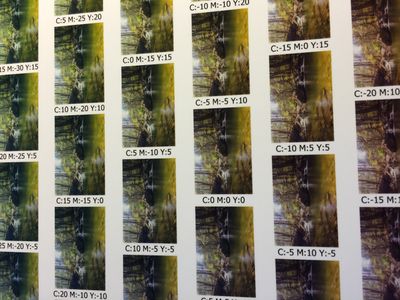 This is the first patterned print I printed