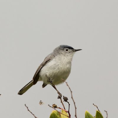 IMG_1183 (1 of 1).jpg