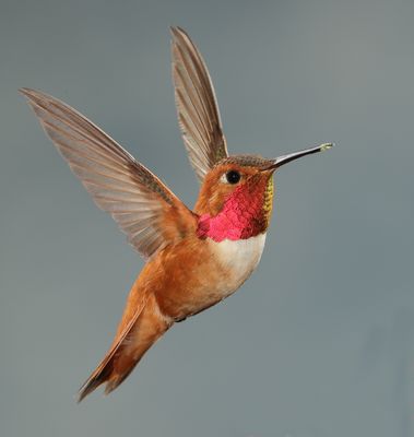 DA9I3158 cs email.jpg