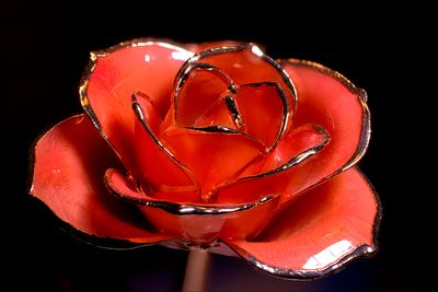 Glass Rose-2a Method A Helicon DNG.jpg